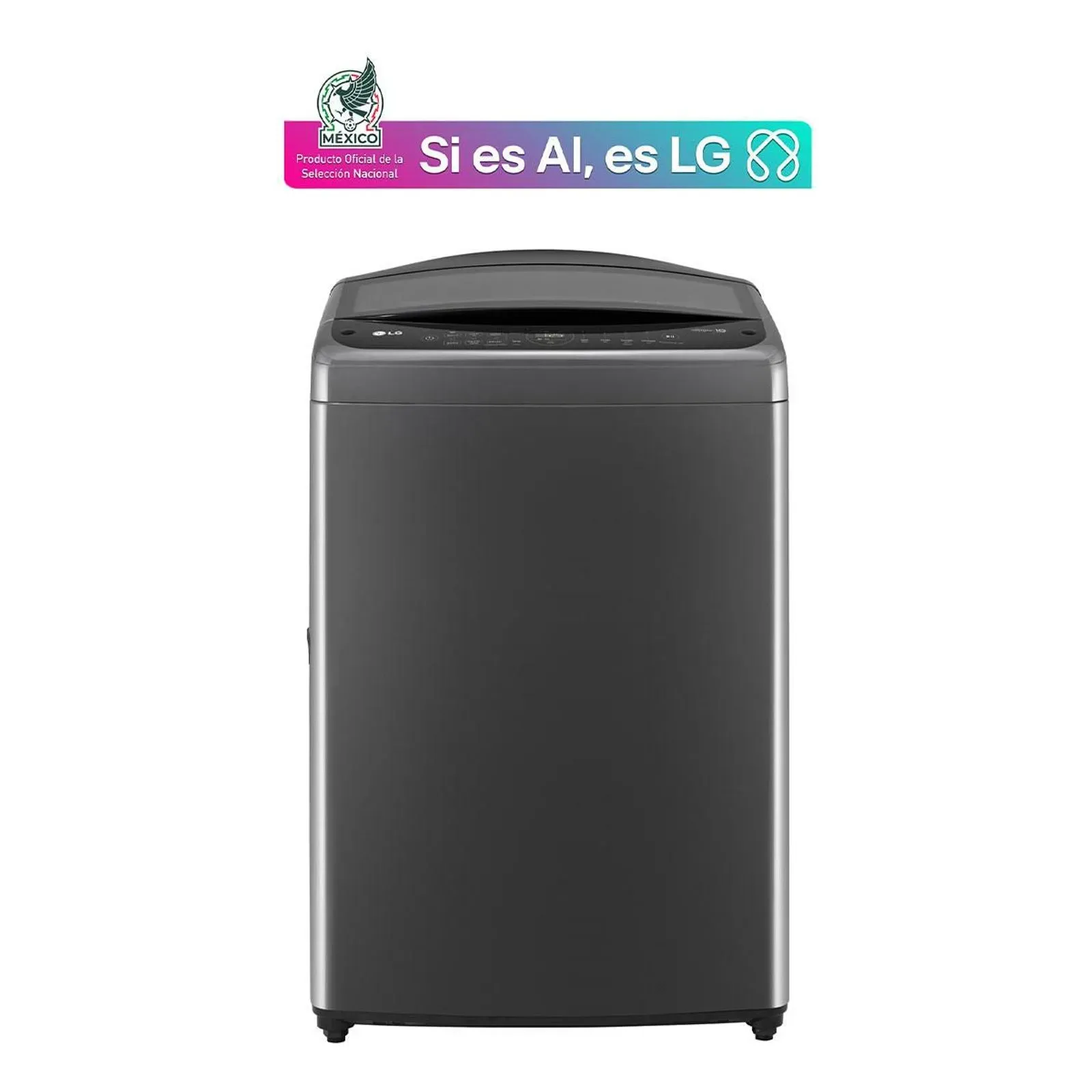 Lavadora LG 19 kg WT19MV6 gris